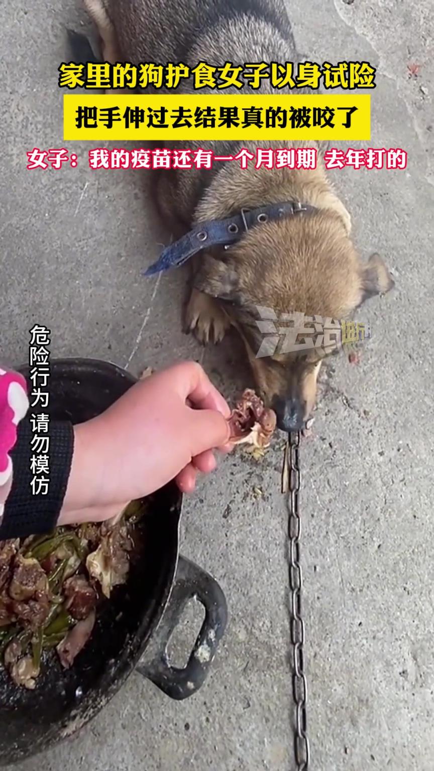 家里的狗护食女子以身试险，把手伸过去结果真的被咬了