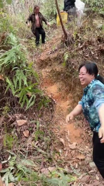 這樹可千萬(wàn)不能斷啊 全家人都靠它呢。