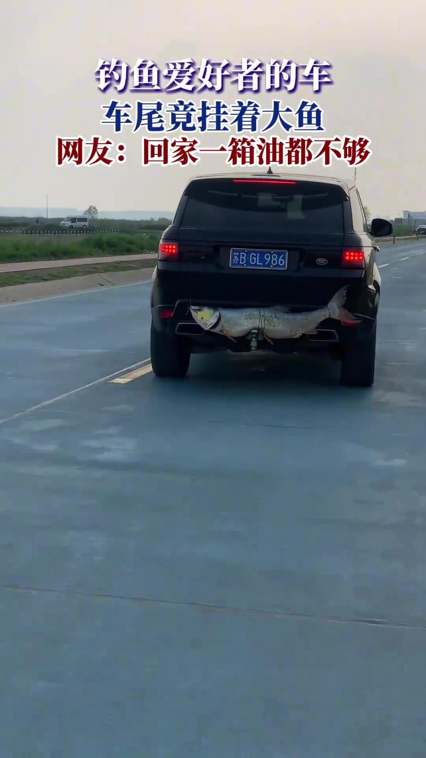 钓鱼爱好者的车，车尾竟挂着大鱼，网友：回家一箱油都不够