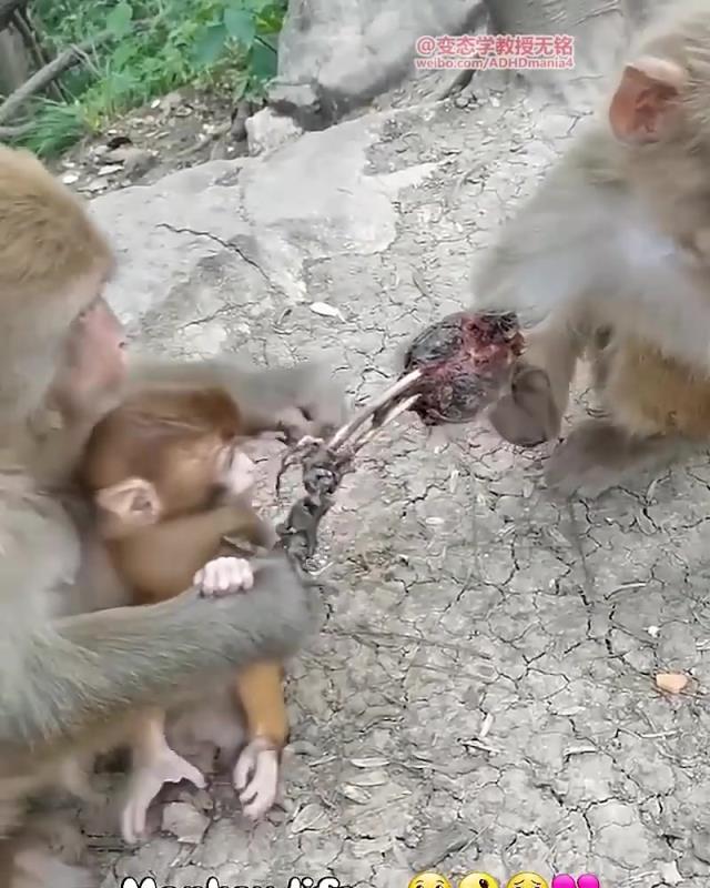 太恐怖了！这是触电露骨了吗？