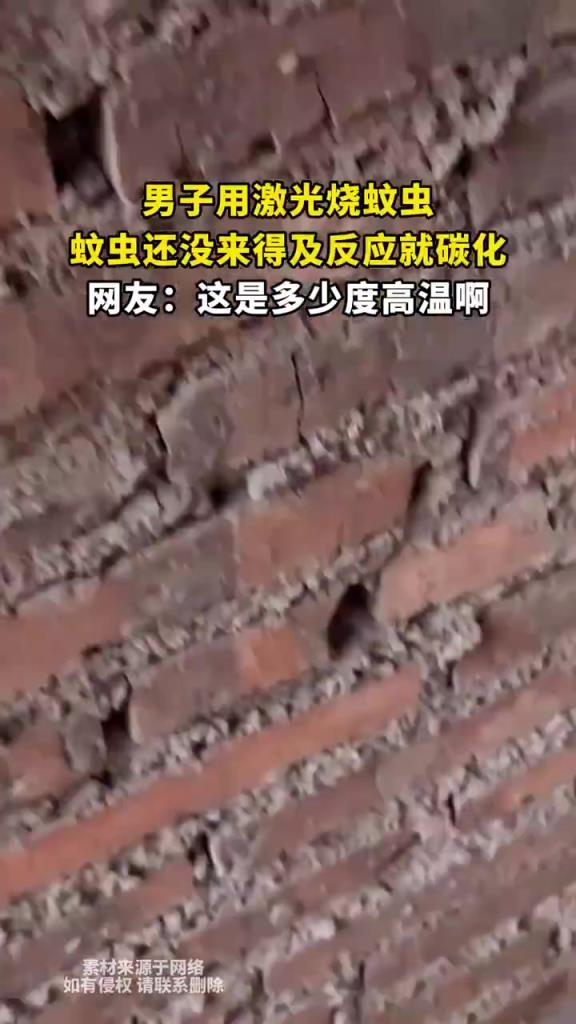 科技灭蚊新高度，蚊子：我还没打卡下班呢！