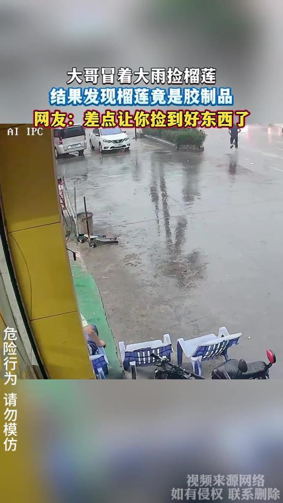 大哥冒着大雨捡榴莲 结果发现榴莲竟是胶制品