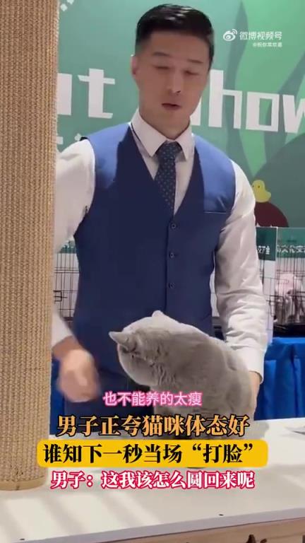 男子正夸猫咪体态好，谁知下一秒当场“打脸”！！