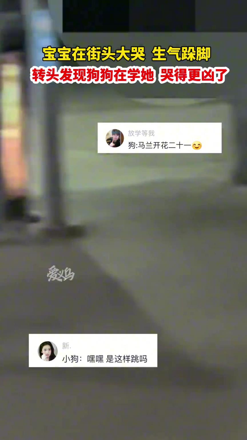 寶寶街頭大哭生氣跺腳，轉(zhuǎn)頭發(fā)現(xiàn)狗狗在學(xué)她哭得更兇了