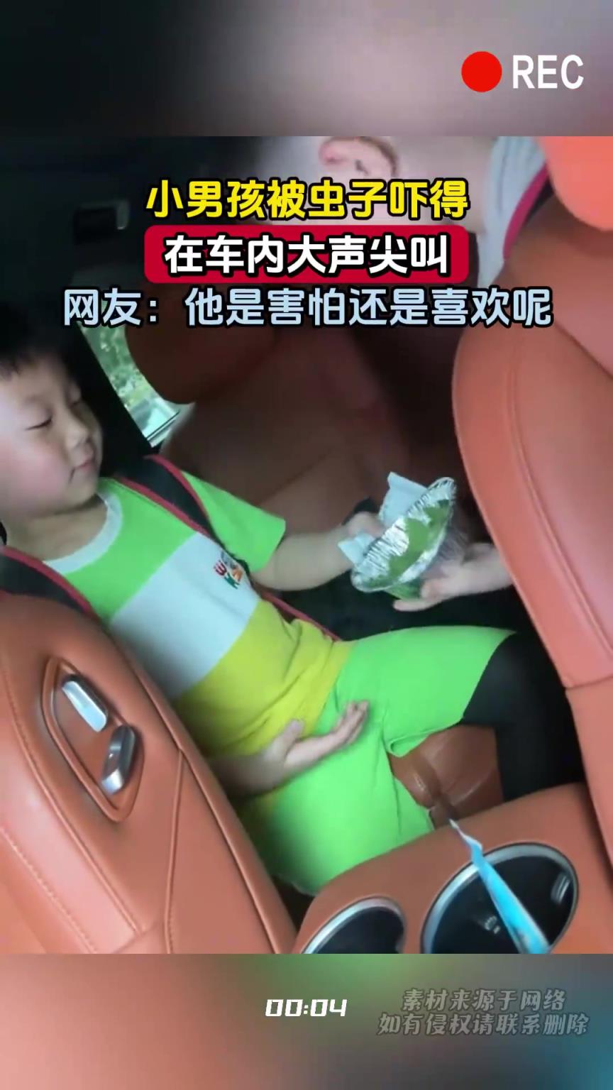 小男孩被虫子吓得，在车内大声尖叫，网友：他是害怕还是喜欢呢