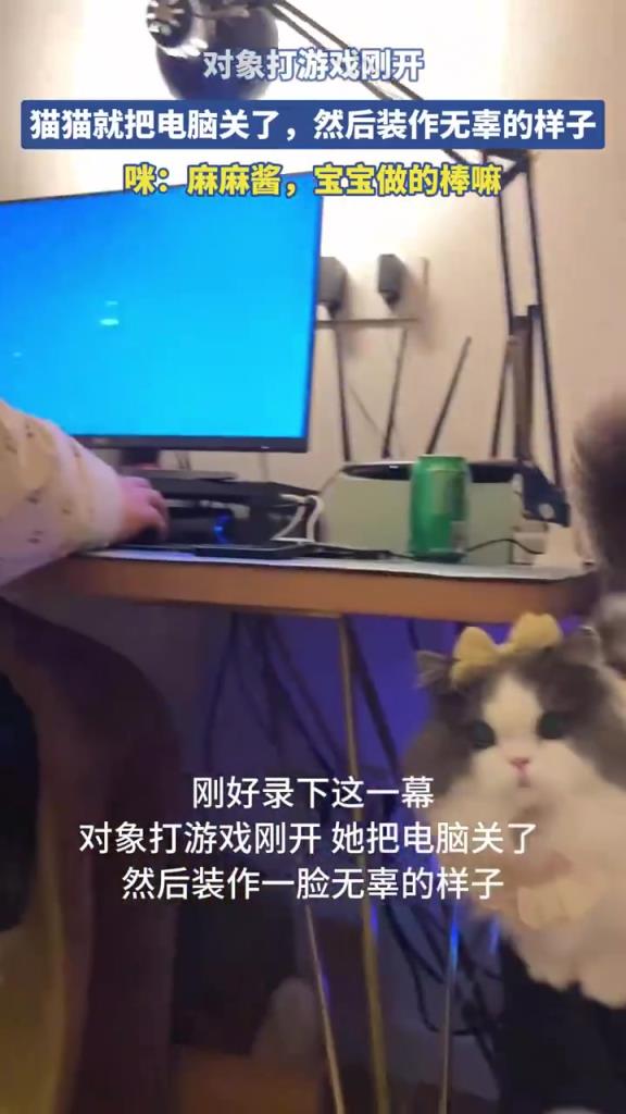 对象打游戏刚开，猫猫就把电脑关了，然后装作无辜的样子