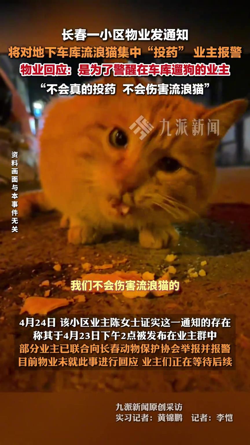 物业回应发通知对地下车库流浪猫投药