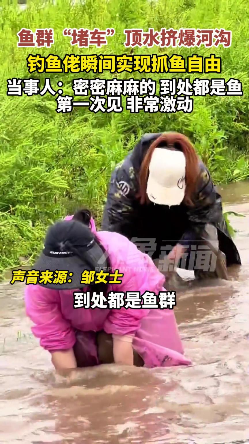 暴雨过后大量鱼儿“跃龙门”，钓鱼佬瞬间实现抓鱼自由