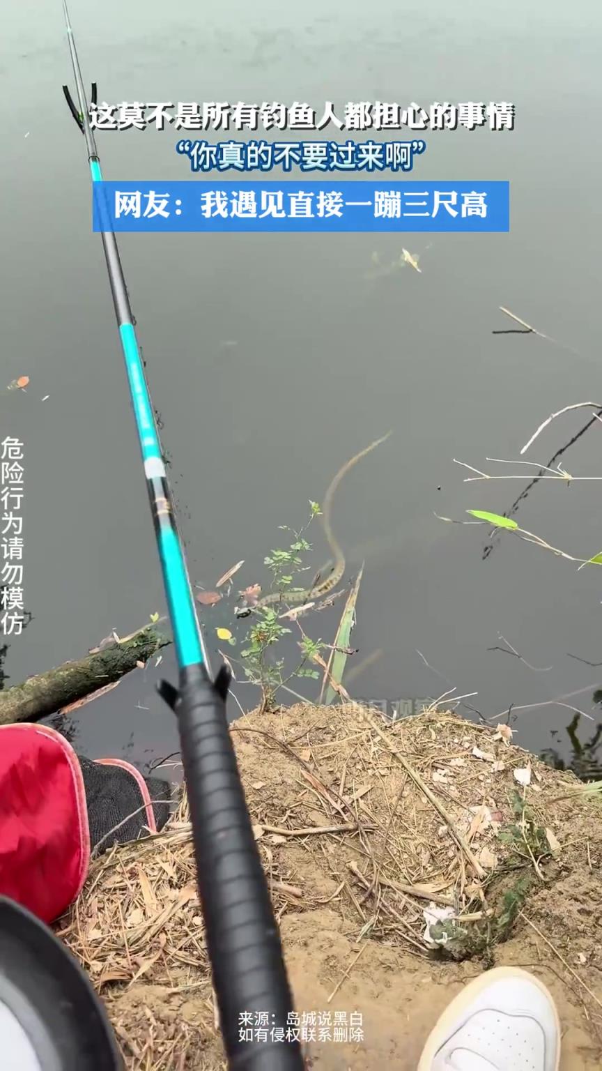 这莫不是所有钓鱼人都担心的事情，“你真的不要过来啊”