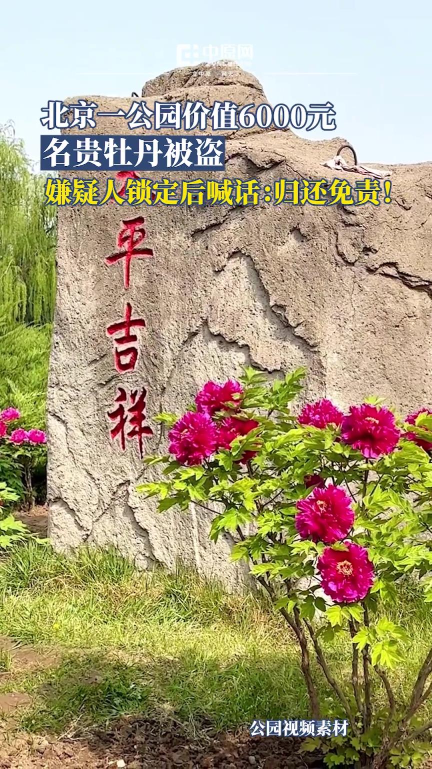 北京莲花池公园发布告示，该园发生一起牡丹失窃事件