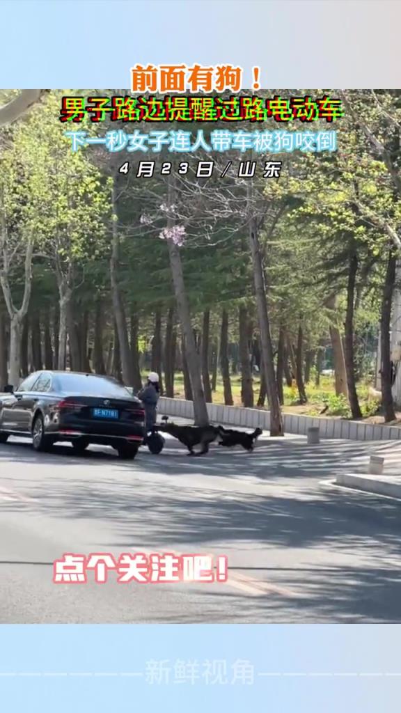 前面有狗！男子路邊提醒 下一秒女子連人帶車被狗咬倒