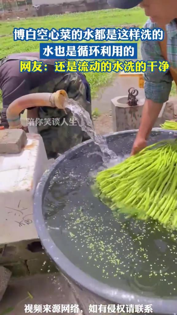 博白空心菜的水都是这样洗的，水也是循环利用的