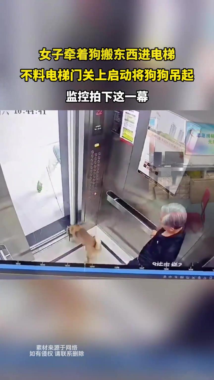 女子牵着狗搬东西进电梯,不料电梯门关上将狗狗吊起！