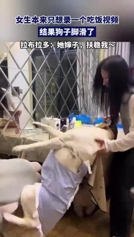 女生本來只想錄一個吃飯視頻，結(jié)果狗子腳滑了