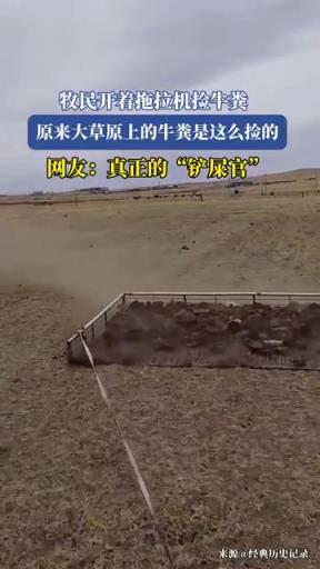 牧民開著拖拉機(jī)撿牛糞，原來大草原上的牛糞是這么撿的
