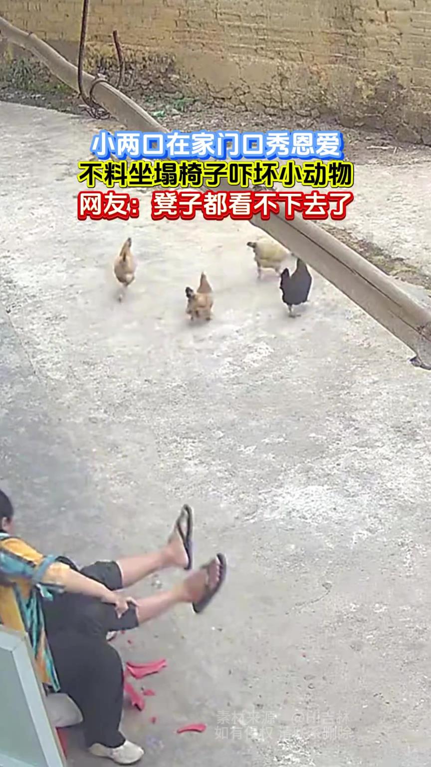 小两口在家门口秀恩爱，不料坐塌椅子吓坏小动物