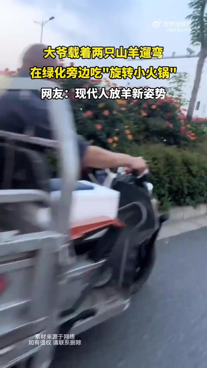 大爷载着两只山羊遛弯，在绿化旁边吃旋转小火锅