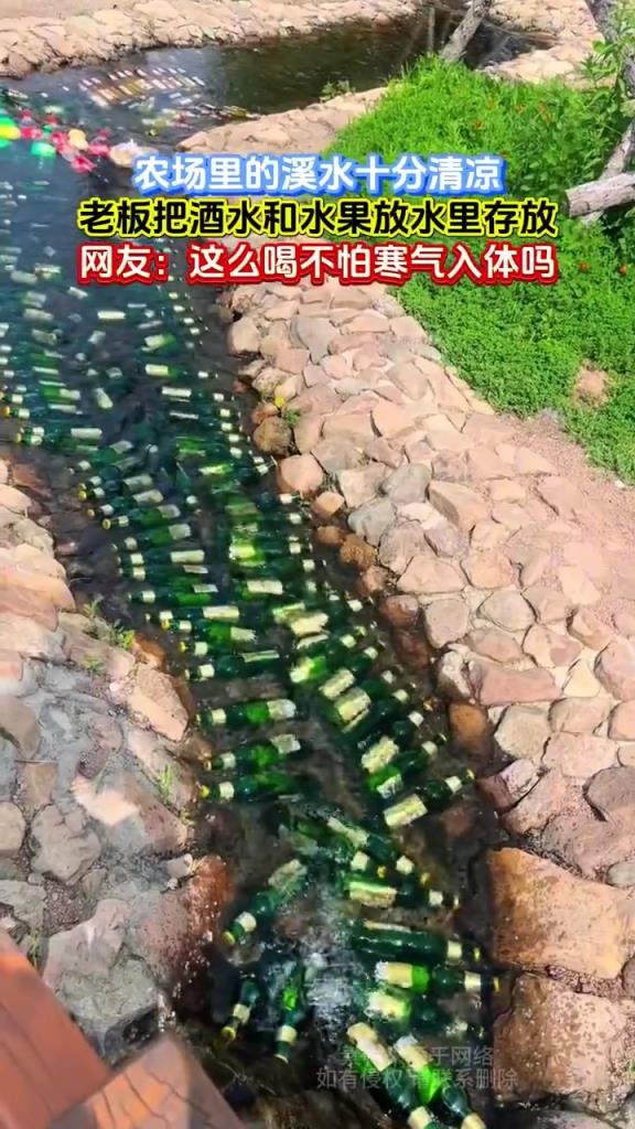 农场里的溪水十分清凉，老板把酒水和水果放水里存放