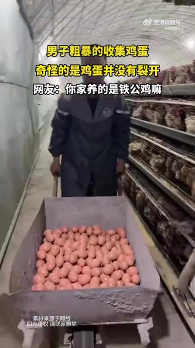男子收集鸡蛋，奇怪的是鸡蛋未裂开