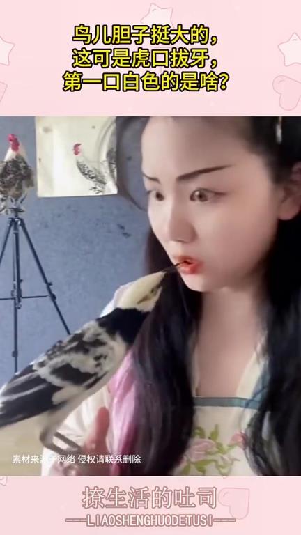 鸟儿胆子大似虎口拔牙，第一口白色的是什么？