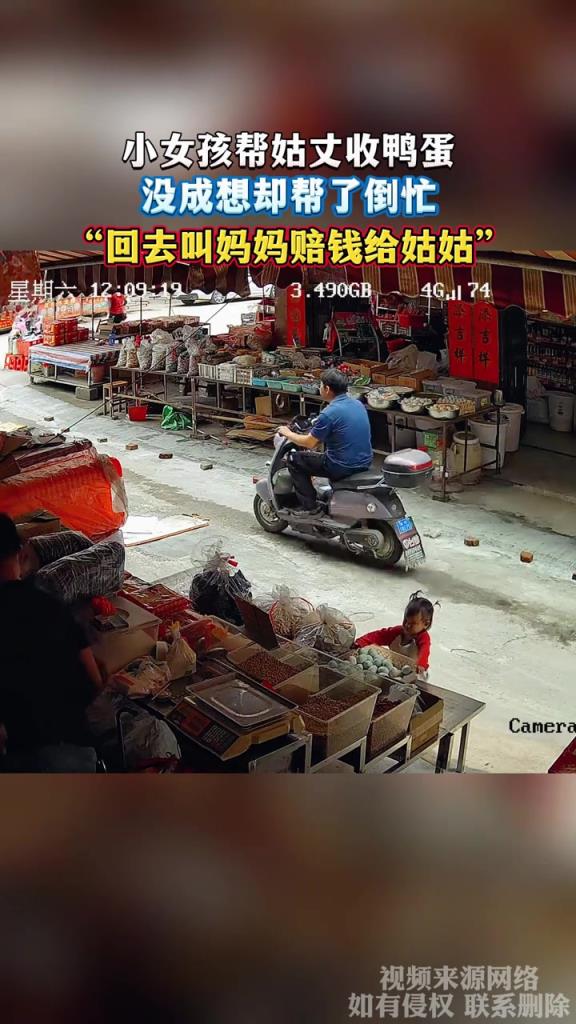 小女孩帮姑丈收鸭蛋 没成想却帮了倒忙