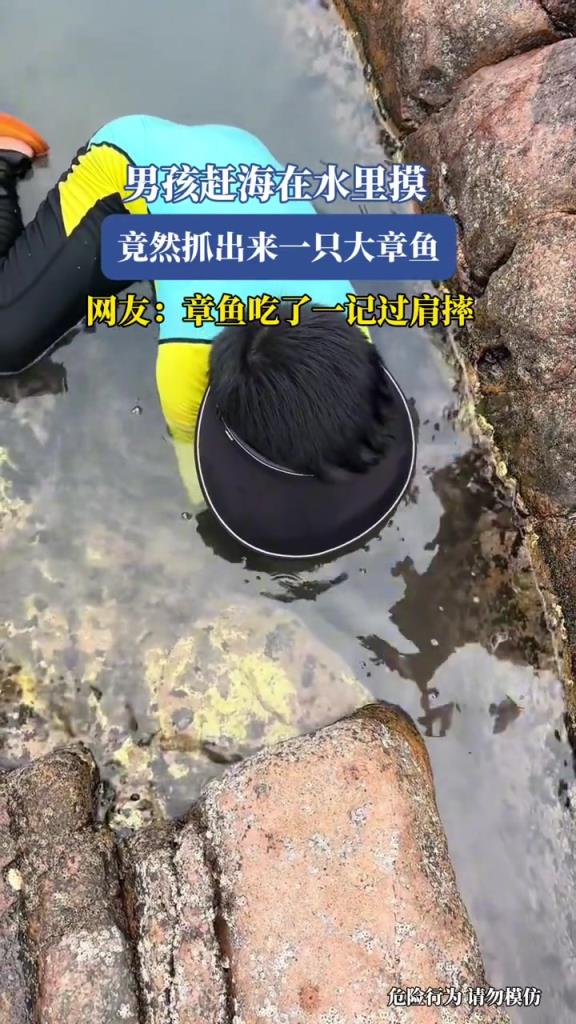 男孩赶海在水里摸,竟然抓出来一只大章鱼!!!