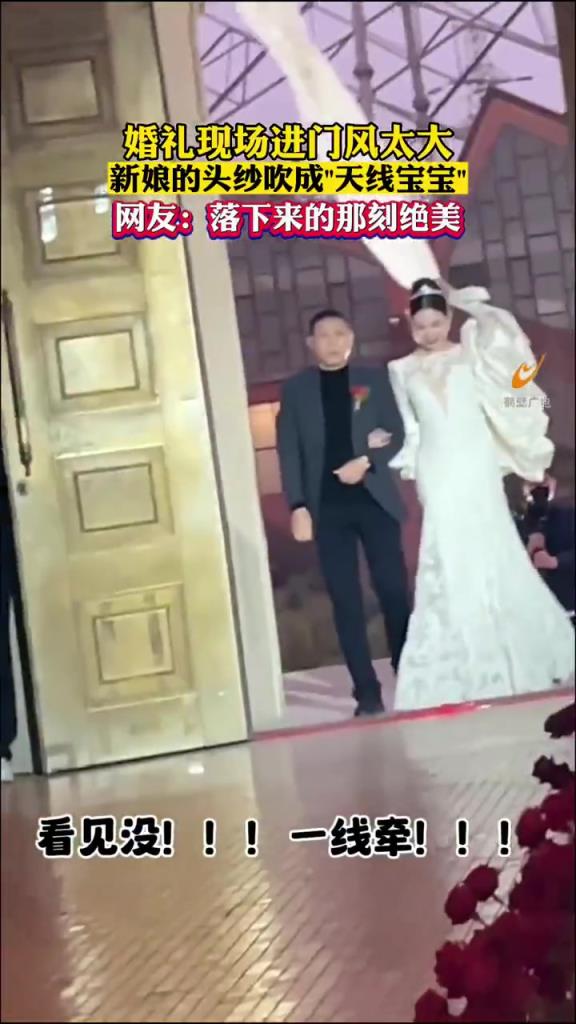 婚礼现场进门风太大，新娘的头纱吹成“天线宝宝” ​