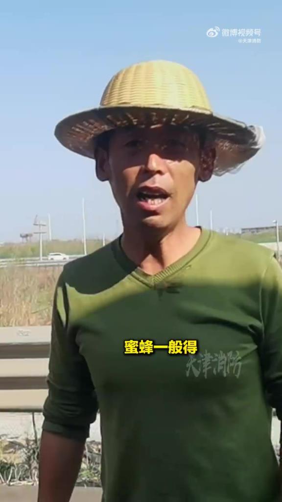 北上的南方蜜蜂在天津被热晕了