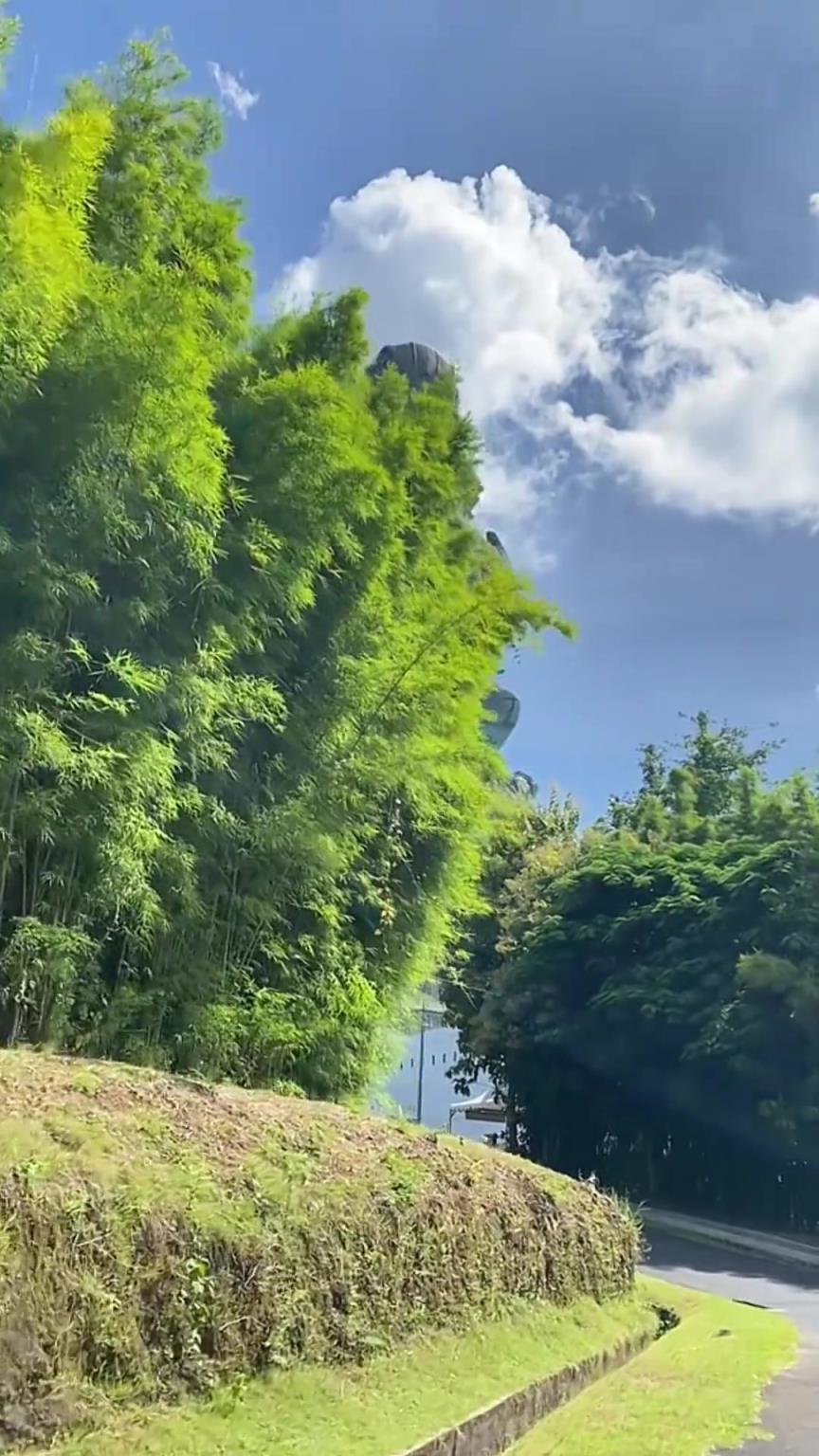世界最高雕像之一！巴厘島鷹頭迦樓羅，這壓迫感絕了！