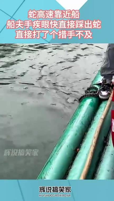 蛇高速逼近船只，船夫眼疾手快一脚踩住