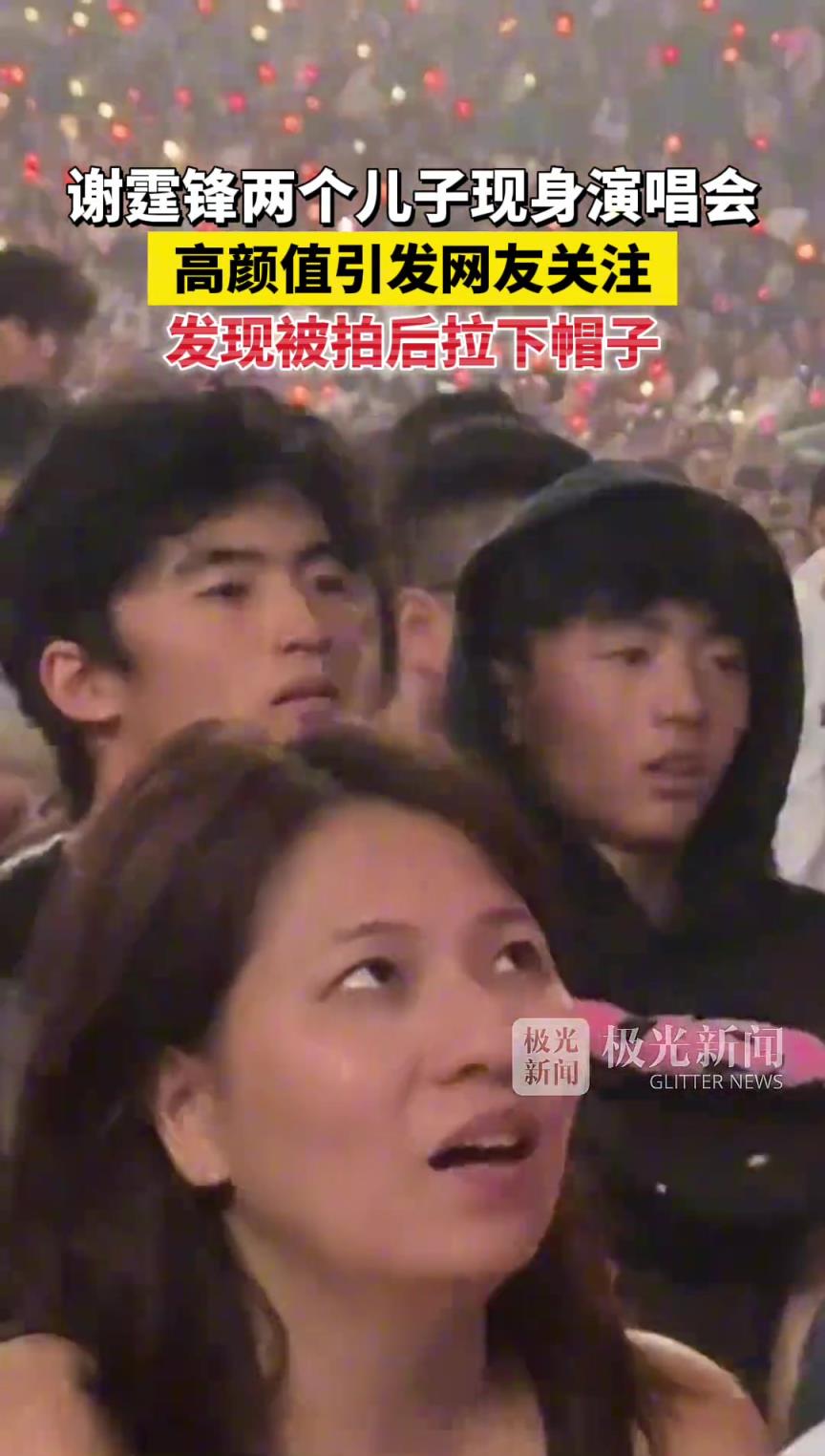 谢霆锋两个儿子现身演唱会！