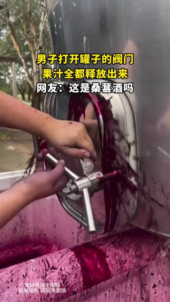 男子打开罐子的阀门,果汁全都释放出来,网友:这是桑葚酒吗