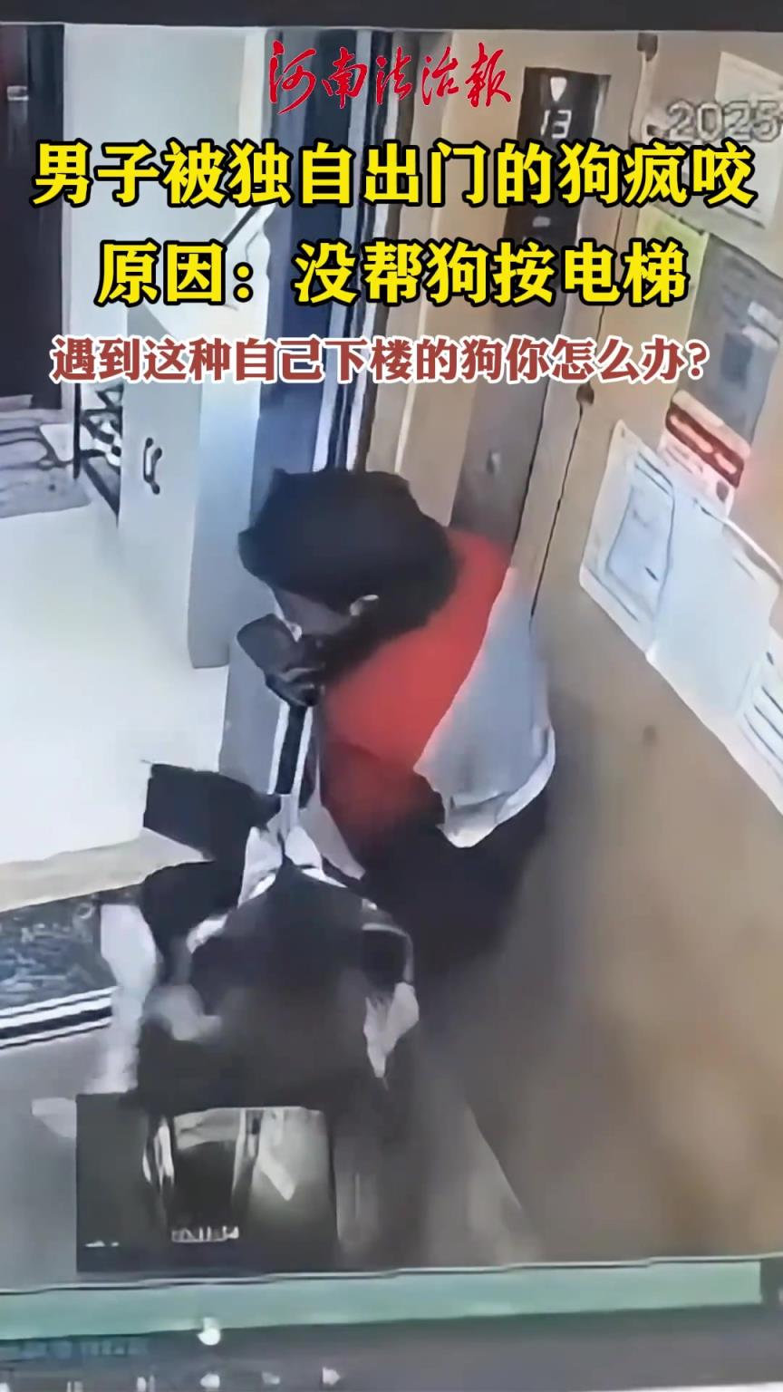 男子被独自出门的狗疯咬