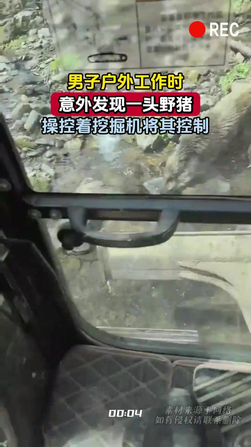 男子户外工作时，意外发现一头野猪，操控着挖掘机将其控制