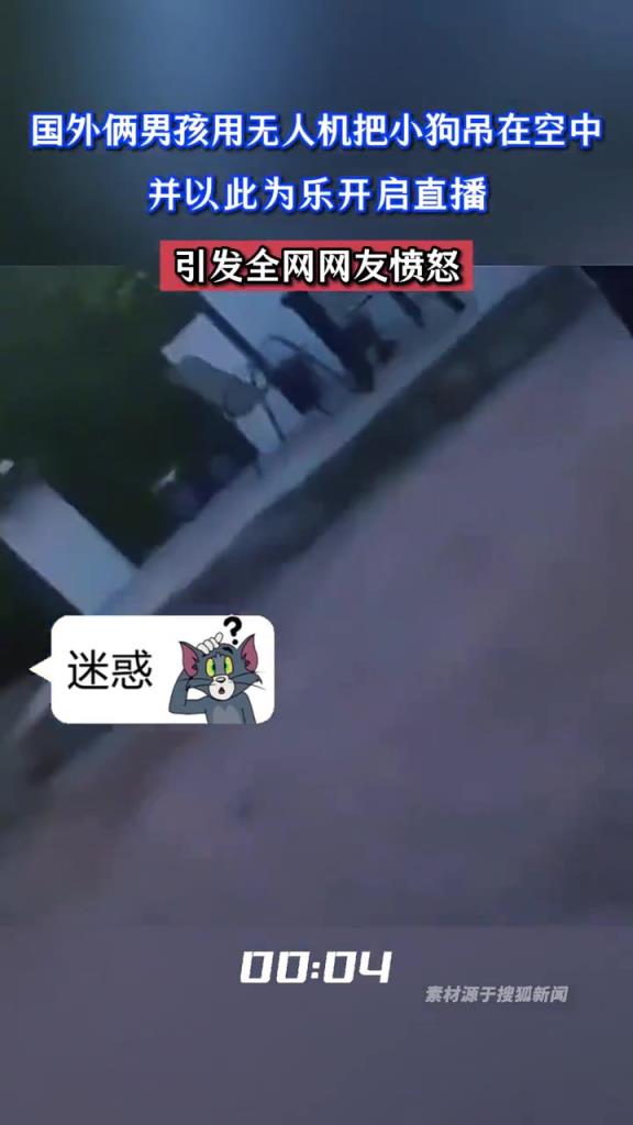 国外俩男孩用无人机把小狗吊在空中,并以此为乐开启直播!