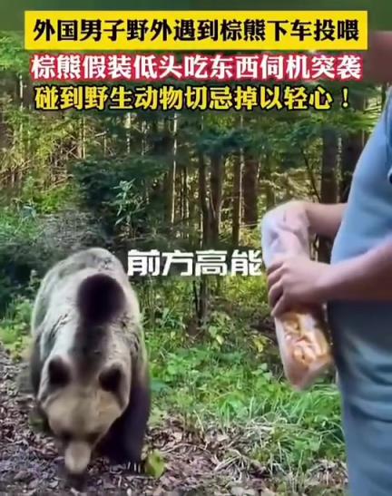 恐怖！这熊也太聪明了！不知道人怎么样了！