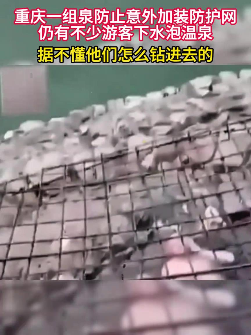 防止意外加装防护网，仍有不少游客下水泡温泉