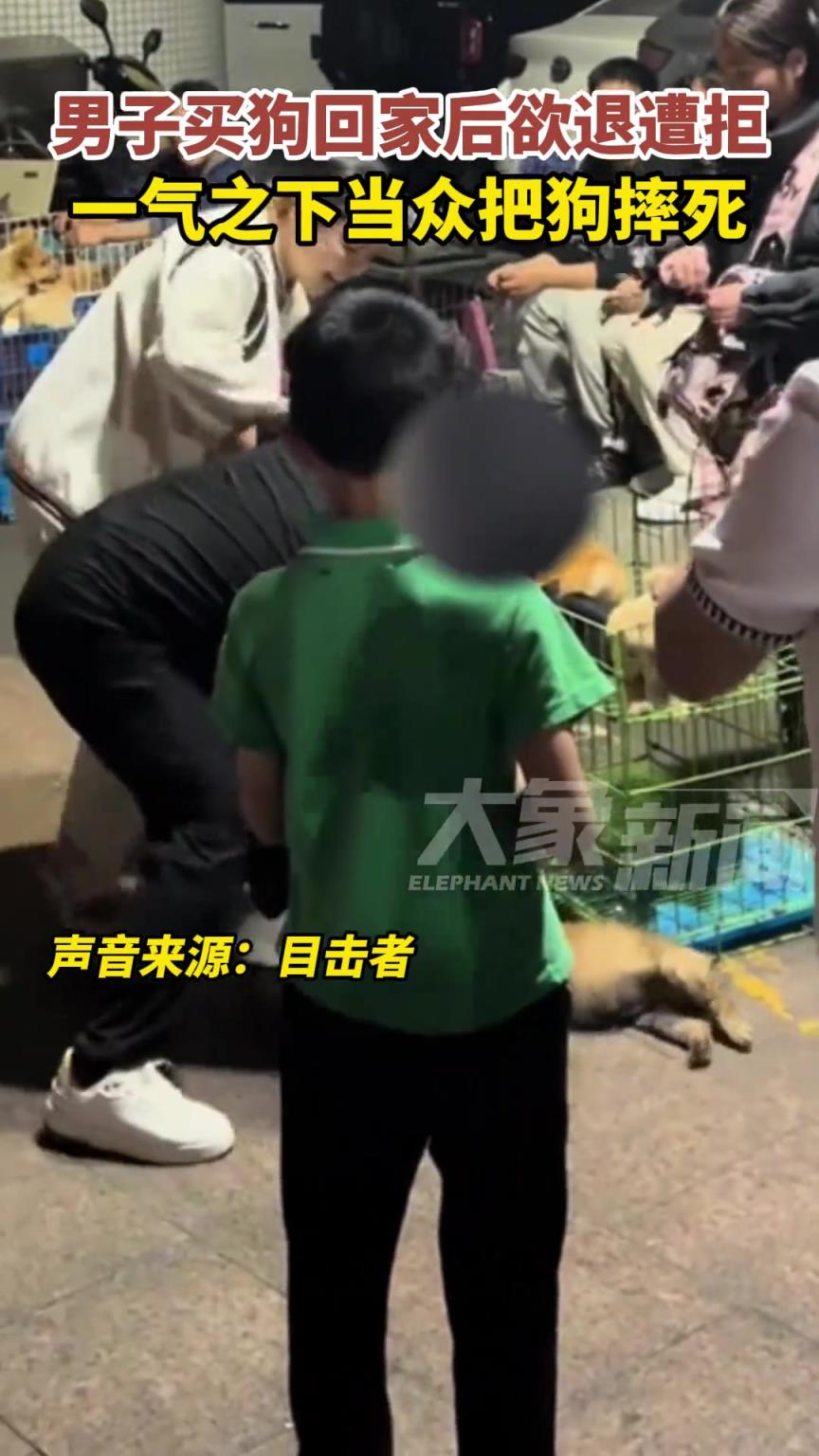 男子买狗回家后不满意，找商家退狗遭拒绝！