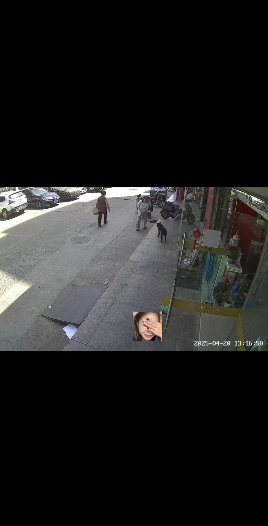 哈哈。吓得狗子一激灵