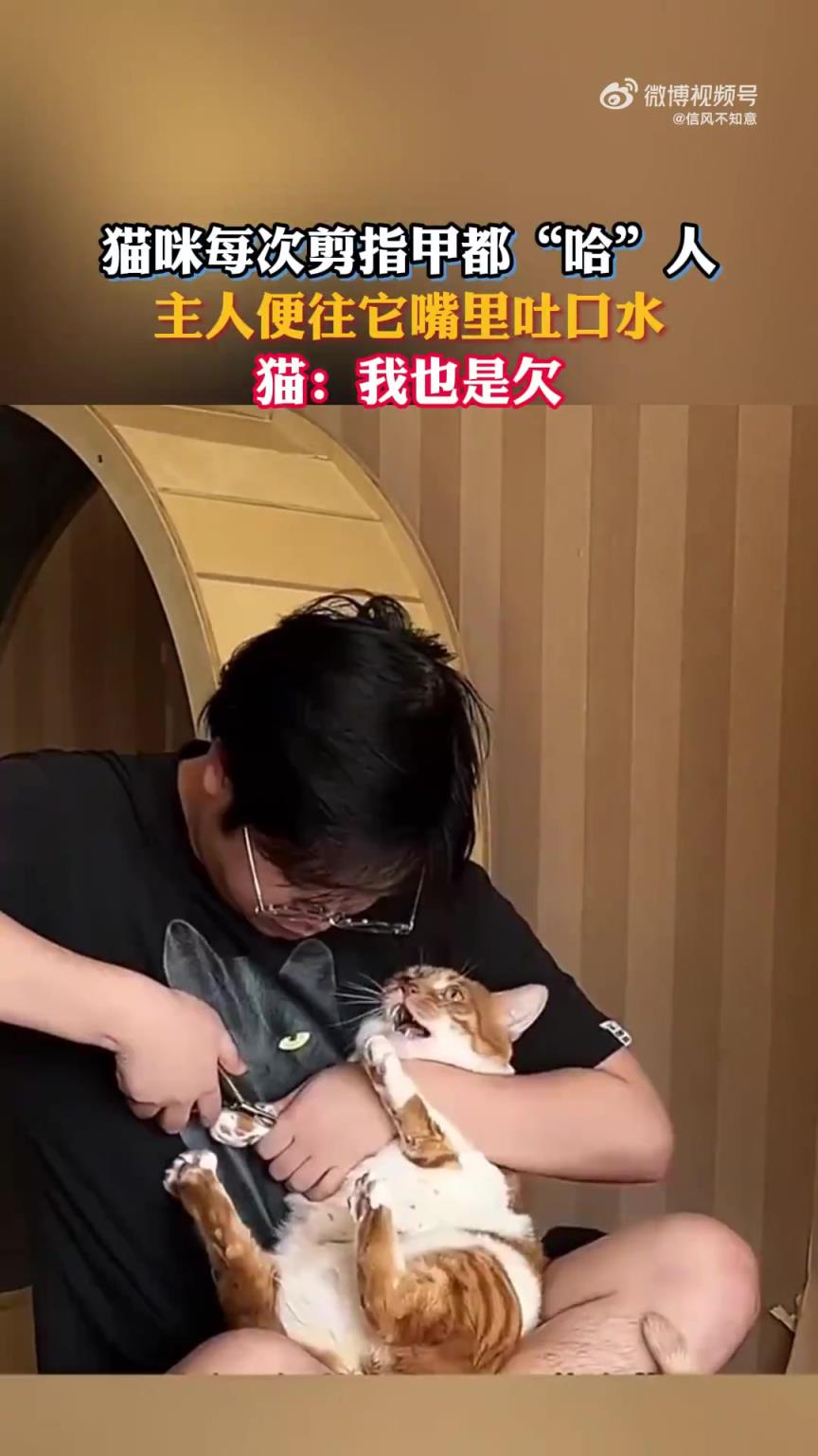 猫咪剪指甲时“哈”人，主人竟往其嘴里吐口水