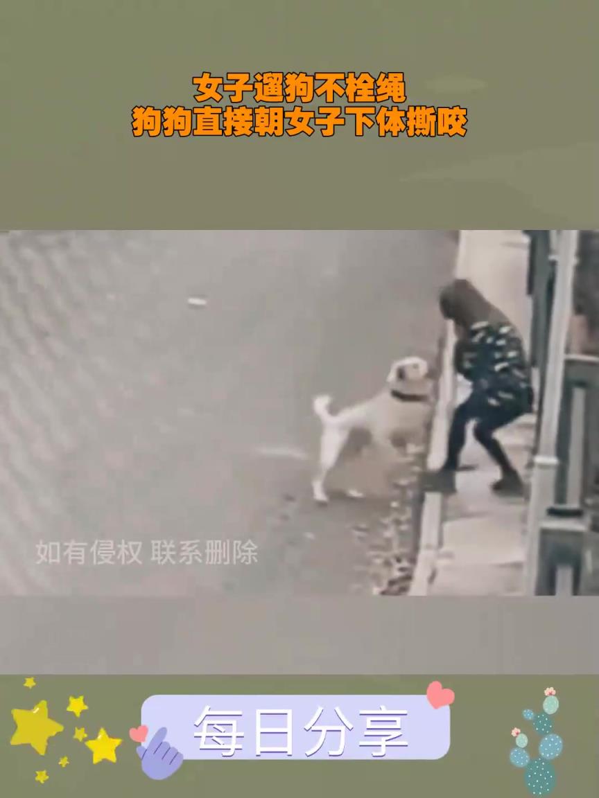 女子遛狗不栓繩，狗狗直接朝女子撕咬