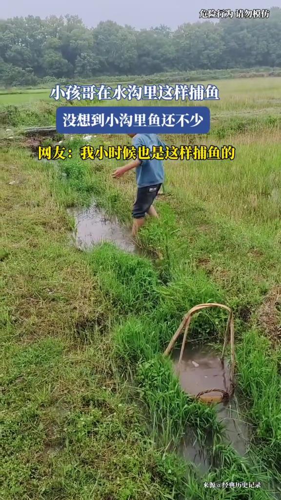 小孩哥在水溝里這樣捕魚,沒想到小溝里魚還不少!!!