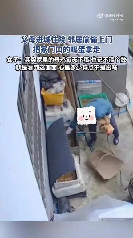 父母进城住院，邻居趁隙拿走家门口鸡蛋