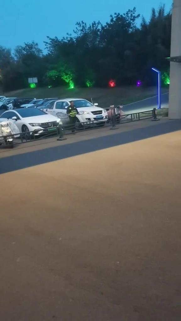 不牵绳的应该抓吗？！