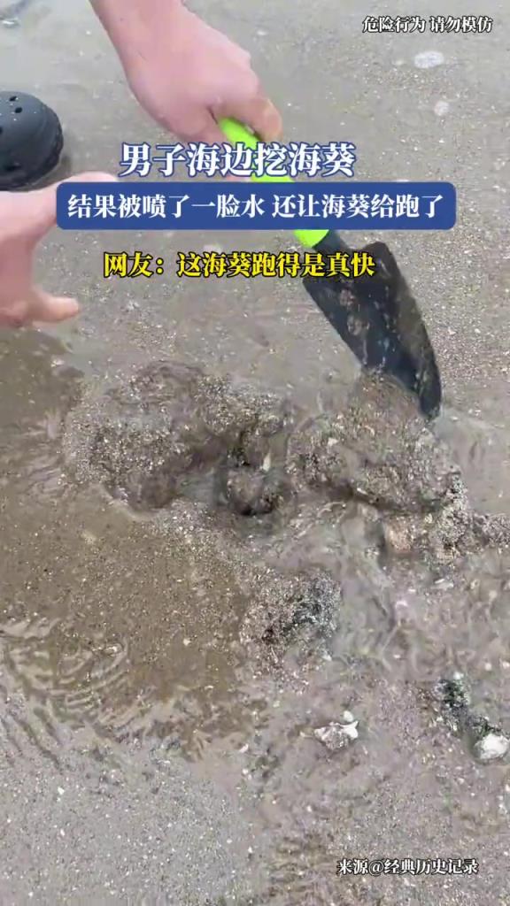 男子海边挖海葵,结果被喷了一脸水,还让海葵给跑了!!