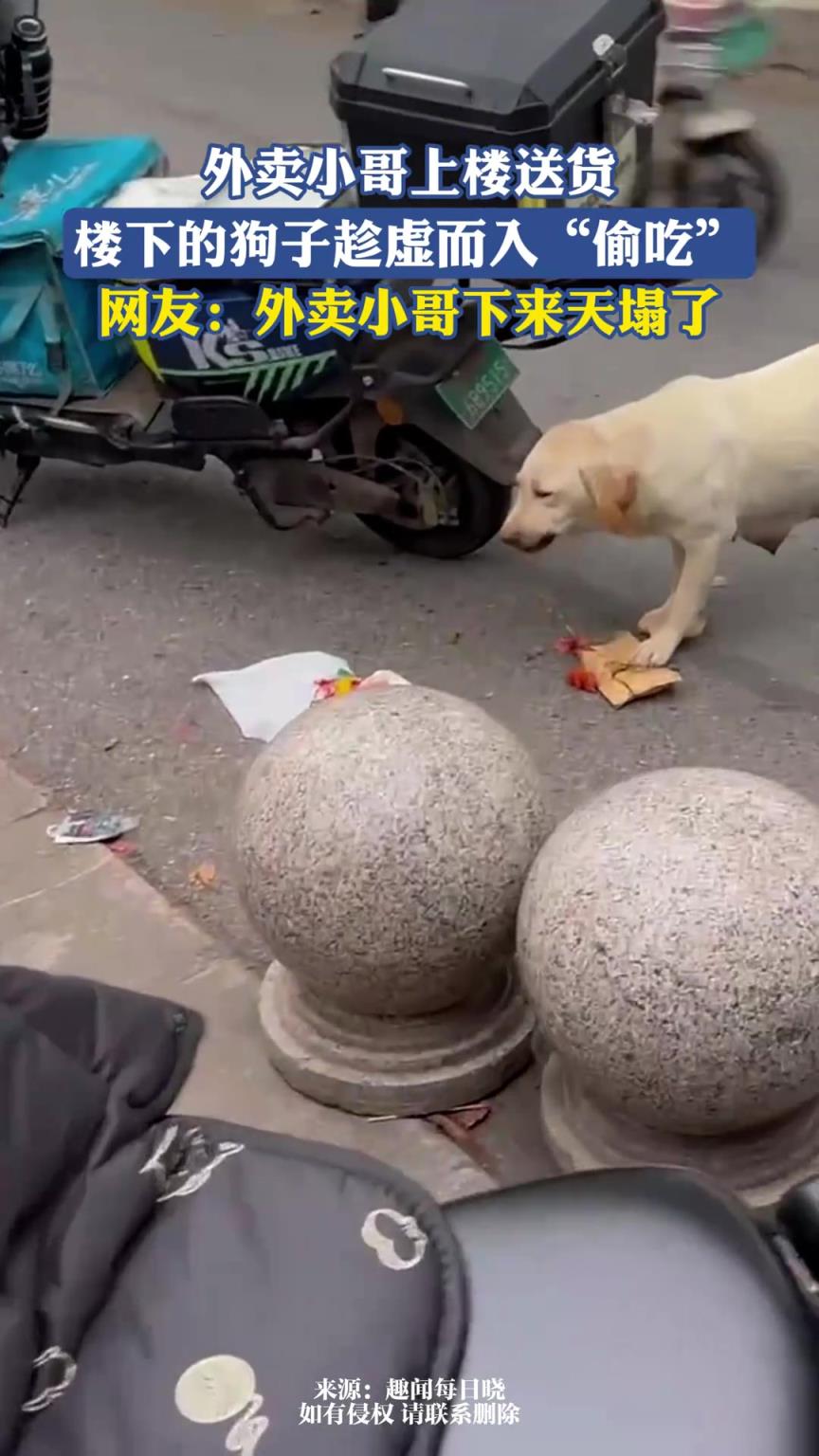 外卖小哥上楼送货，楼下的狗子趁虚而入“偷吃”
