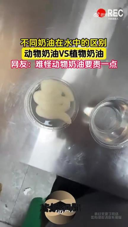 不同奶油在水中的区别：动物奶油与植物奶对比