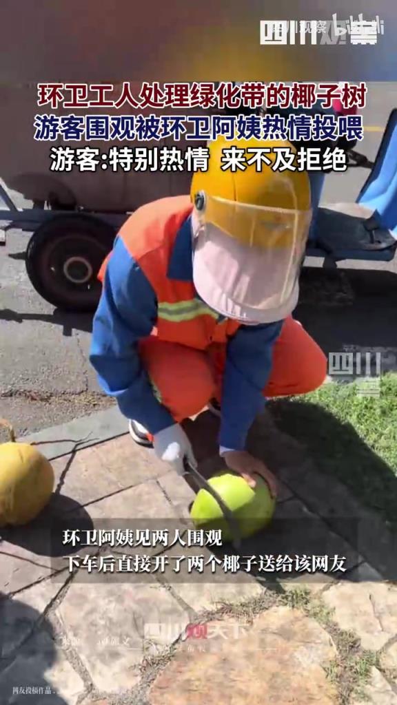 环卫工人处理绿化带的椰子树，游客围观被环卫阿姨热情投喂
