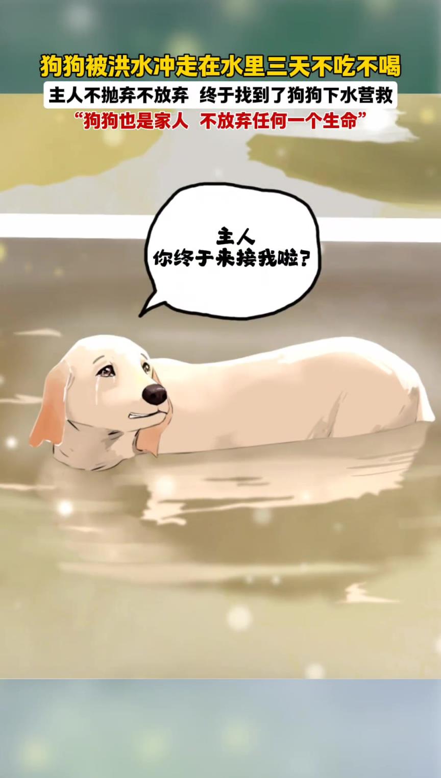 它委屈的小眼神，主人你怎么才来，我差点就要掉秤了