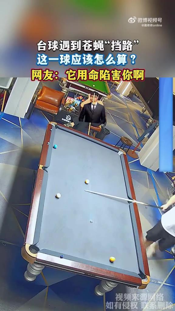 台球遇到苍蝇“挡路”，这一球应该怎么算？